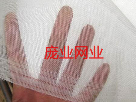 东莞白色尼龙网销售